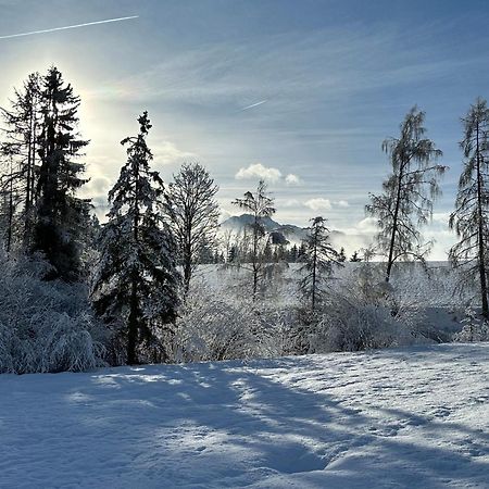 Bio-Holzhaus Und Landhaus Heimat Ramsau am Dachstein Esterno foto