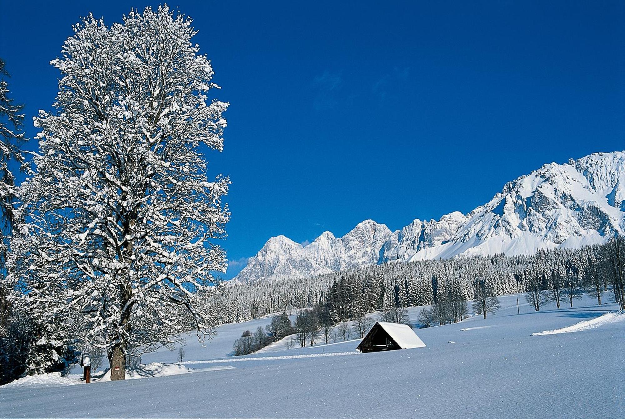 Bio-Holzhaus Und Landhaus Heimat Ramsau am Dachstein Esterno foto