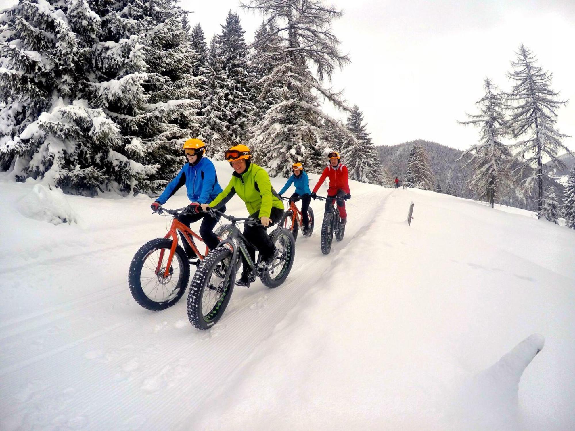 Bio-Holzhaus Und Landhaus Heimat Ramsau am Dachstein Esterno foto