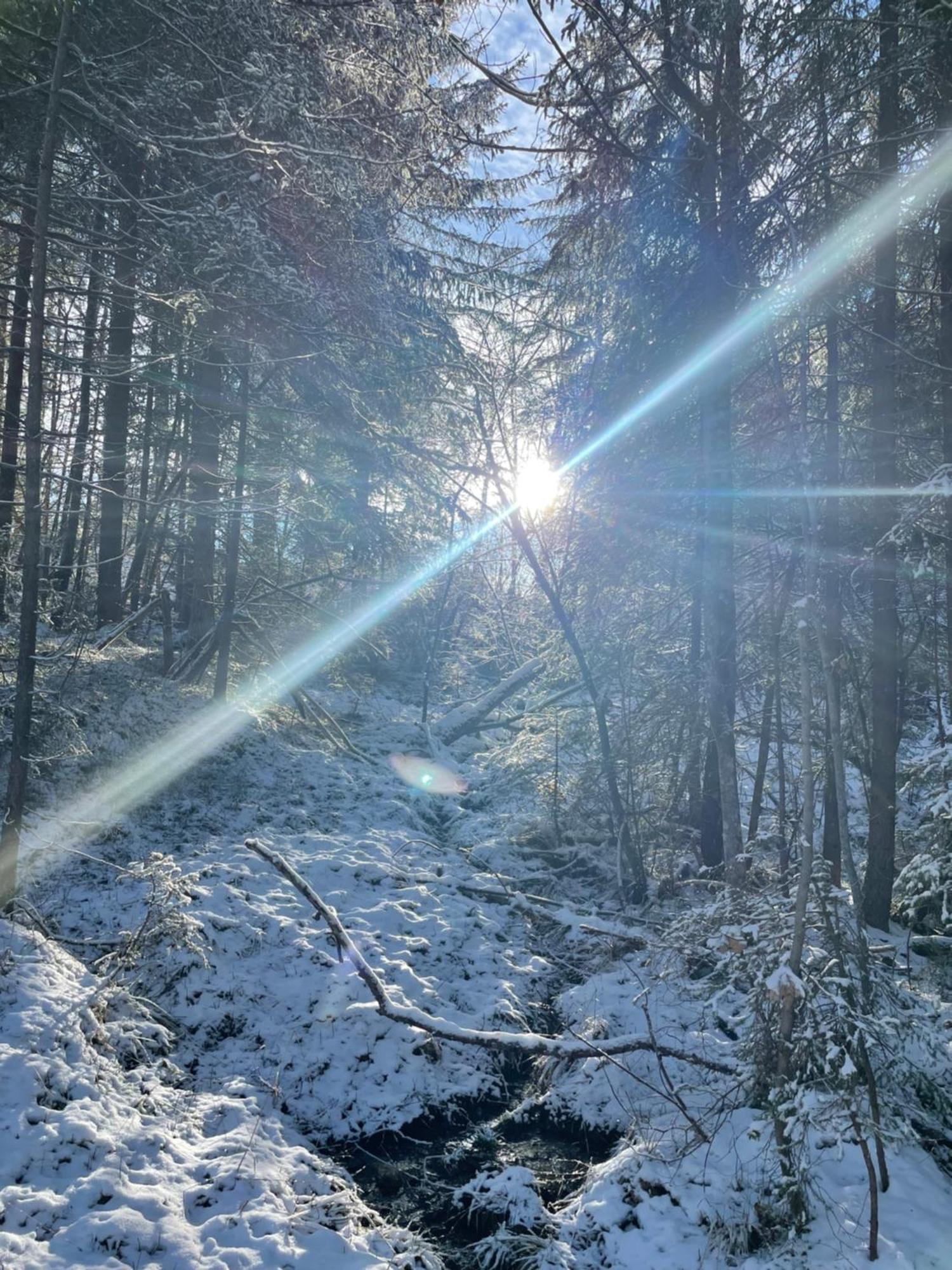 Bio-Holzhaus Und Landhaus Heimat Ramsau am Dachstein Esterno foto