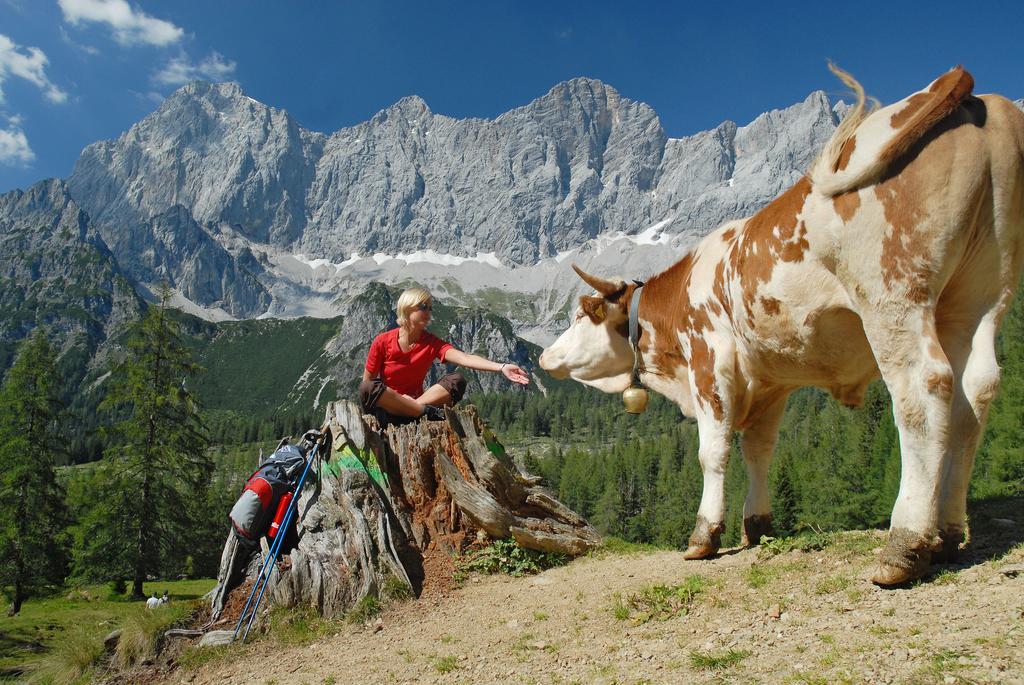 Bio-Holzhaus Und Landhaus Heimat Ramsau am Dachstein Esterno foto