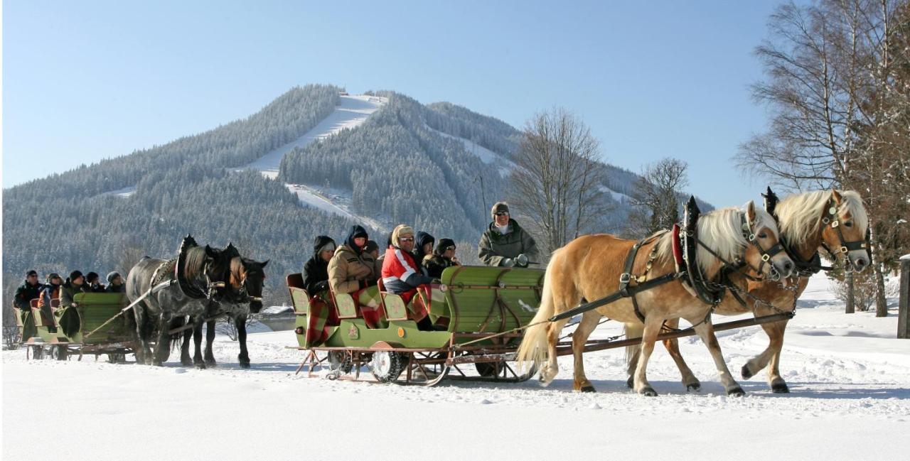 Bio-Holzhaus Und Landhaus Heimat Ramsau am Dachstein Esterno foto